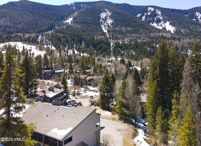 mountain view with a wooded view
