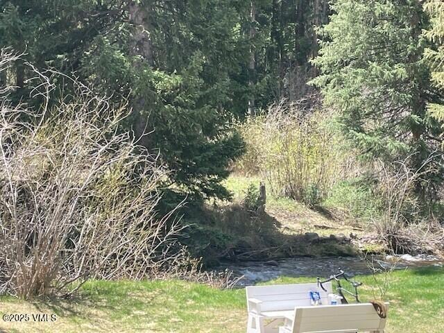 5197 Black Gore Dr Unit B-2, Vail, CO 81657 - view of yard featuring a forest view