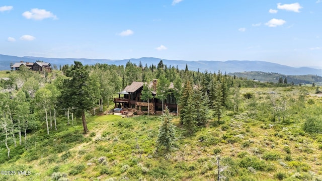 22 Jacksons Path, Edwards, CO 81632 - photo 35