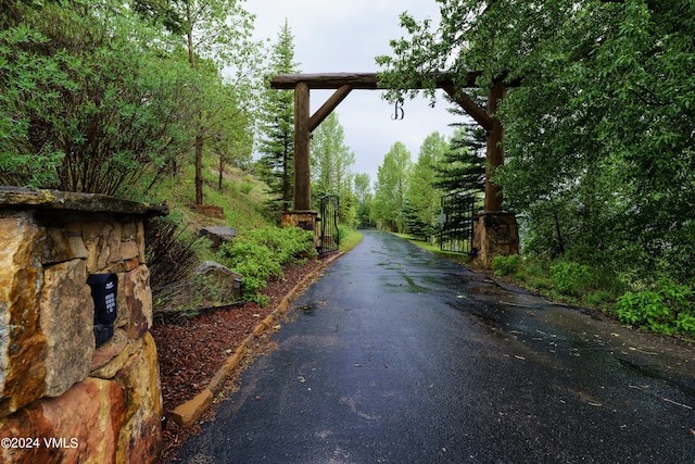 view of road with aphalt driveway, a gated entry, and a gate