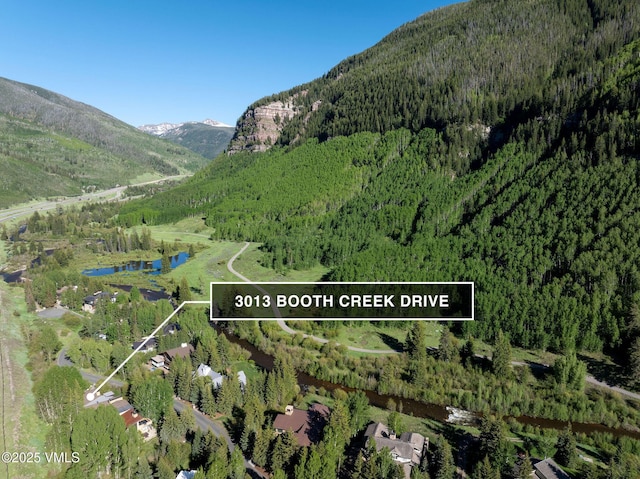 3013 Booth Creek Dr, Vail, CO 81657 - photo 32