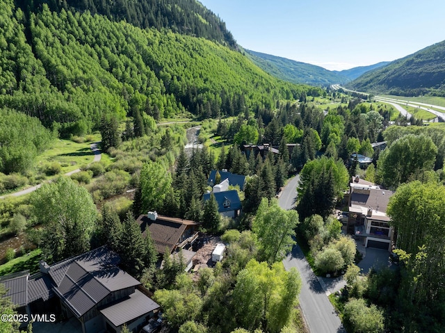 3013 Booth Creek Dr, Vail, CO 81657 - photo 30