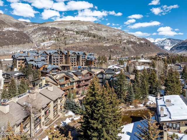 62 E Meadow Dr Unit 302, Vail, CO 81657 - photo 23