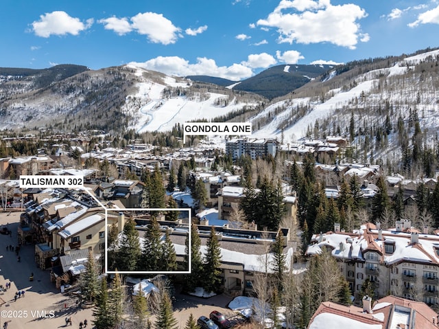 62 E Meadow Dr Unit 302, Vail, CO 81657 - photo 24