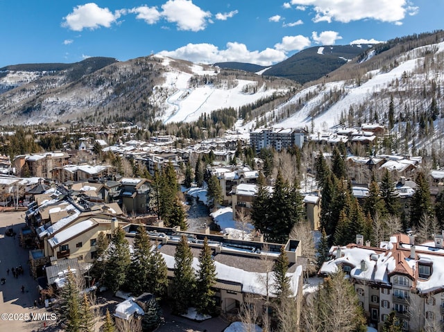 62 E Meadow Dr Unit 302, Vail, CO 81657 - photo 21