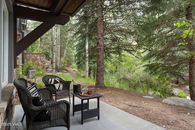 627 Sawatch Dr Unit 105, Edwards, CO 81632 - view of patio