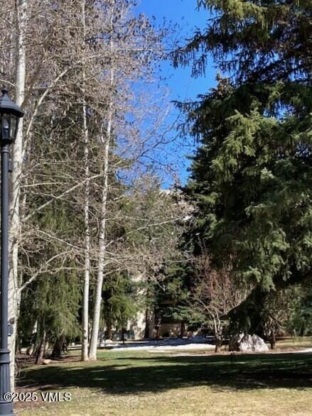 103 Willow Pl Unit 203, Vail, CO 81657 - view of yard