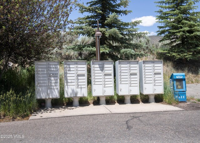 205 Crazy Horse Pt Unit 205, Edwards, CO 81632 - view of home's community featuring mail area