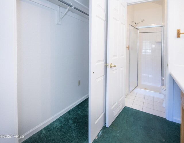 205 Crazy Horse Pt Unit 205, Edwards, CO 81632 - view of closet
