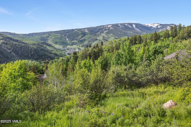 312 Holden Rd, Beaver Creek, CO 81620 - mountain view with a forest