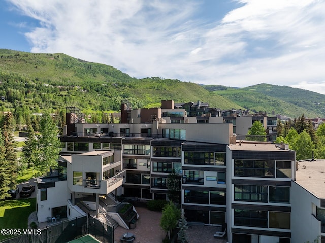 710 W Lionshead Cir Unit 115, Vail, CO 81657 - mountain view