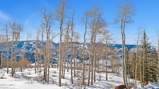 114 Goldenrod Rd, Avon, CO 81620 - photo 25
