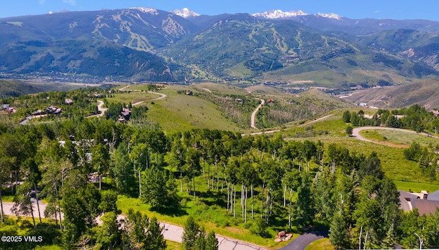 114 Goldenrod Rd, Avon, CO 81620 - photo 10