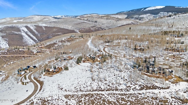 114 Goldenrod Rd, Avon, CO 81620 - photo 32