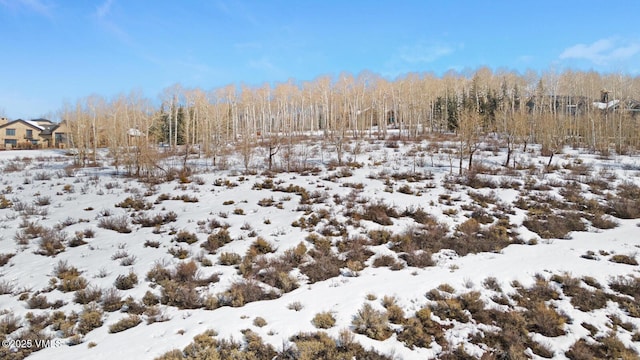 114 Goldenrod Rd, Avon, CO 81620 - photo 34