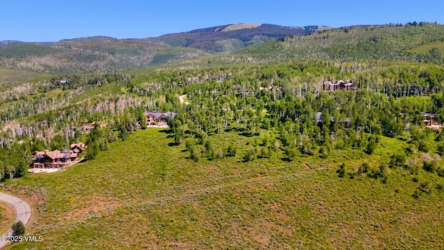 114 Goldenrod Rd, Avon, CO 81620 - photo 14