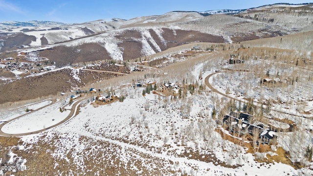 114 Goldenrod Rd, Avon, CO 81620 - photo 31