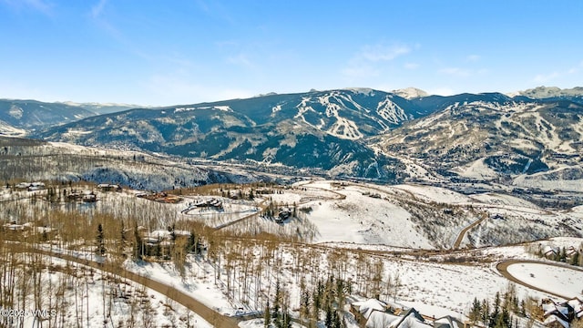 114 Goldenrod Rd, Avon, CO 81620 - photo 26