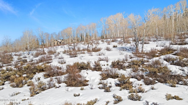 114 Goldenrod Rd, Avon, CO 81620 - photo 35