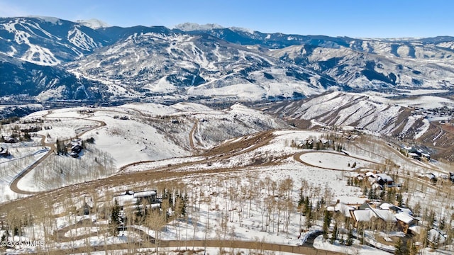 114 Goldenrod Rd, Avon, CO 81620 - photo 28