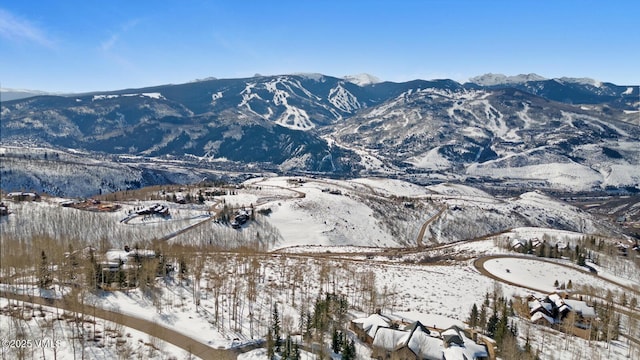 114 Goldenrod Rd, Avon, CO 81620 - photo 27