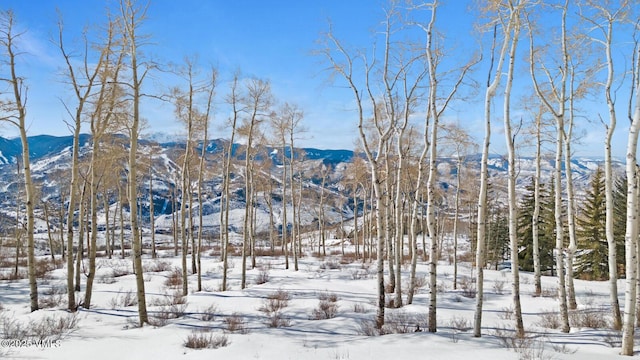 114 Goldenrod Rd, Avon, CO 81620 - photo 24