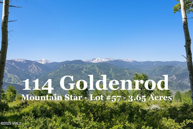114 Goldenrod Rd, Avon, CO 81620 - photo 1