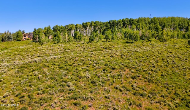 114 Goldenrod Rd, Avon, CO 81620 - photo 15