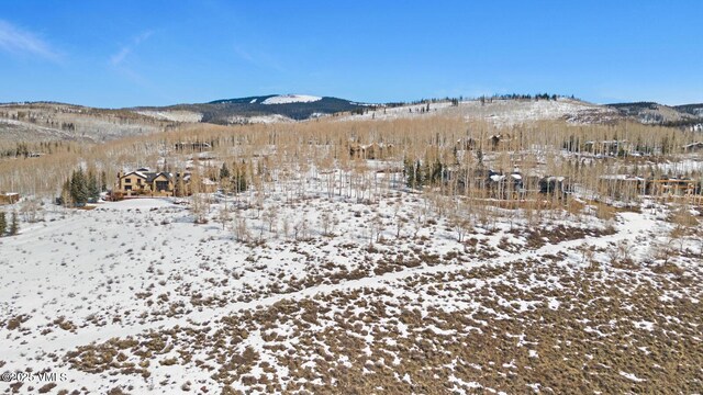 114 Goldenrod Rd, Avon, CO 81620 - photo 36