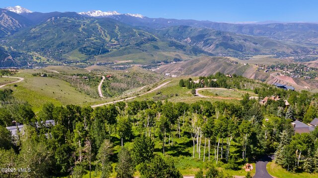 114 Goldenrod Rd, Avon, CO 81620 - photo 9
