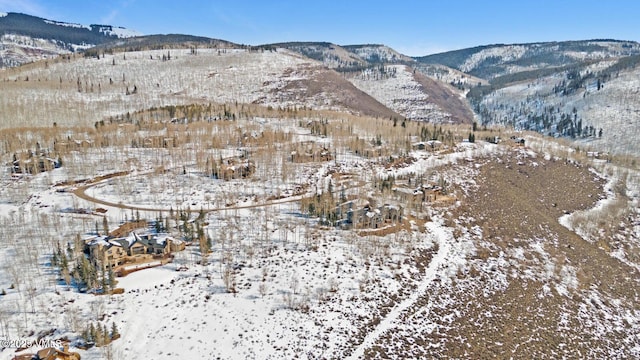 114 Goldenrod Rd, Avon, CO 81620 - photo 33