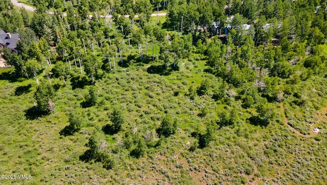 114 Goldenrod Rd, Avon, CO 81620 - photo 8