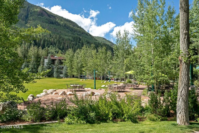 view of home's community featuring a patio, a mountain view, and a yard