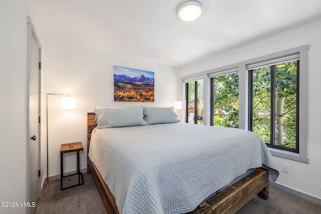 bedroom with multiple windows and carpet floors