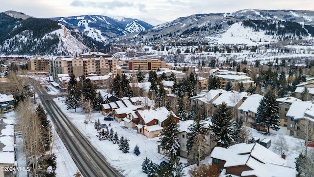 238 W Beaver Creek Blvd Unit B, Avon, CO 81620 - mountain view
