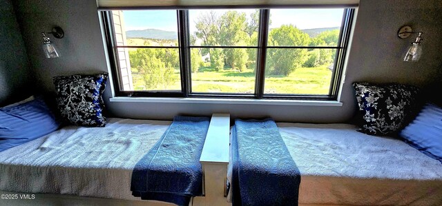 146 Robins Egg Ln, Eagle, CO 81631 - view of bedroom