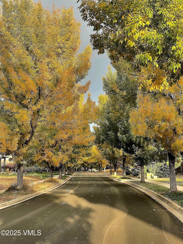 146 Robins Egg Ln, Eagle, CO 81631 - view of asphalt road with curbs and sidewalks