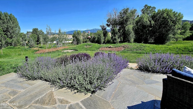 146 Robins Egg Ln, Eagle, CO 81631 - view of yard with a mountain view