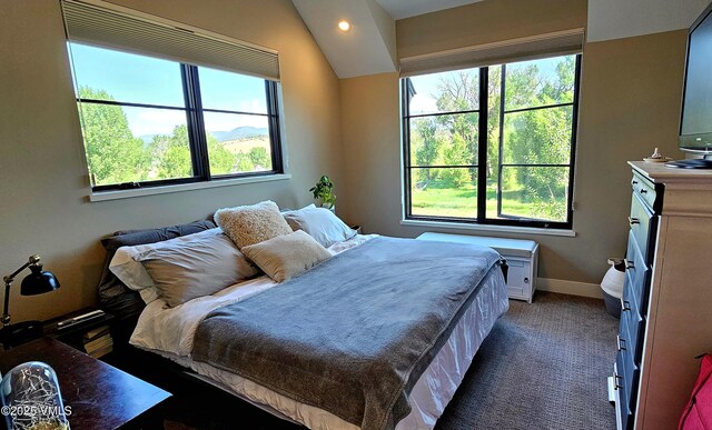 146 Robins Egg Ln, Eagle, CO 81631 - carpeted bedroom with multiple windows, recessed lighting, and vaulted ceiling