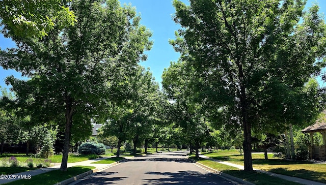 146 Robins Egg Ln, Eagle, CO 81631 - view of asphalt street featuring curbs and sidewalks