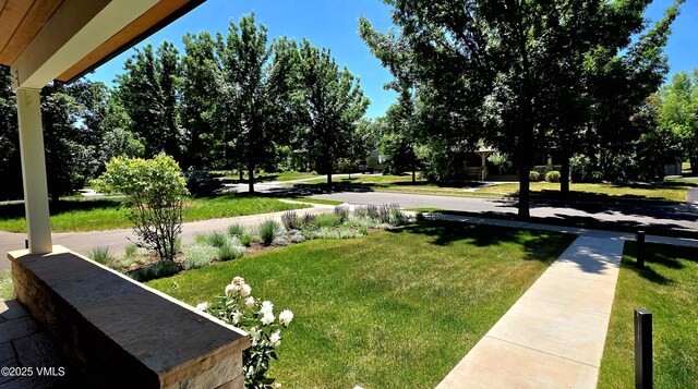 146 Robins Egg Ln, Eagle, CO 81631 - view of grassy yard