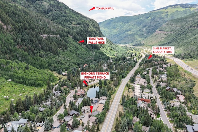 4254 Columbine Way Unit 9, Vail, CO 81657 - aerial view of property's location
