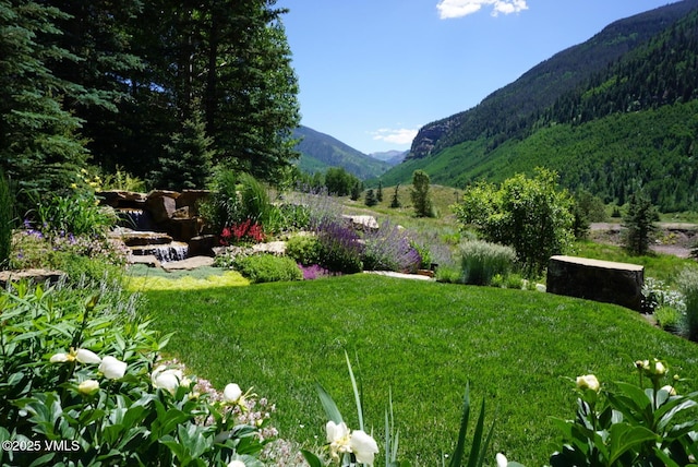2470 Bald Mountain Rd, Vail, CO 81657 - photo 26