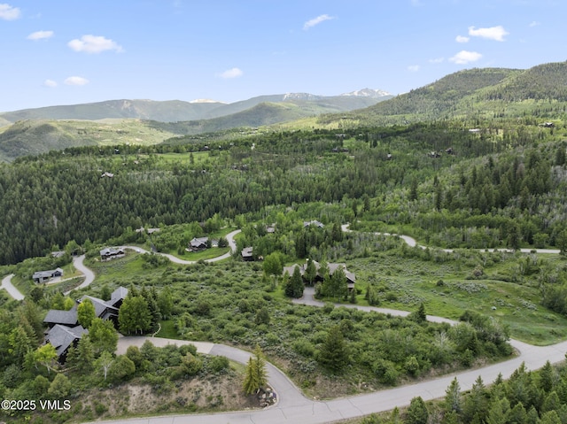 196 Redtail Rdg, Edwards, CO 81632