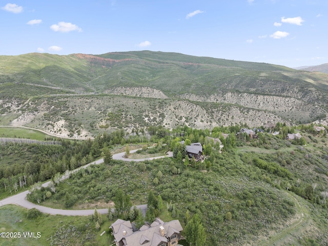 196 Redtail Rdg, Edwards, CO 81632