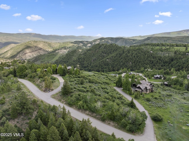 196 Redtail Rdg, Edwards, CO 81632