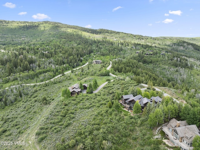 196 Redtail Rdg, Edwards, CO 81632