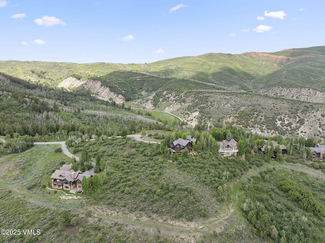 196 Redtail Rdg, Edwards, CO 81632