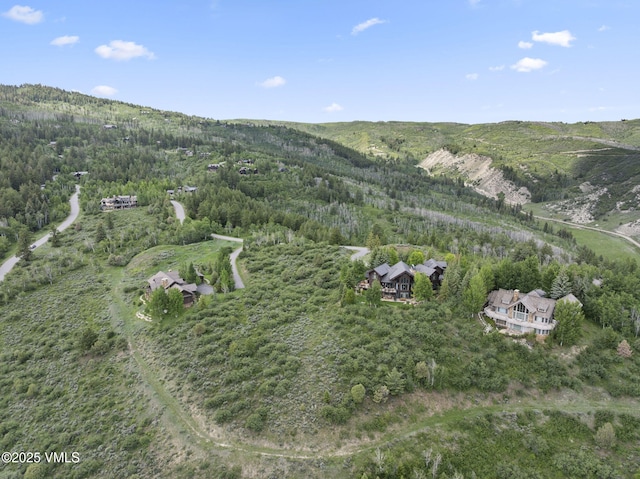 196 Redtail Rdg, Edwards, CO 81632