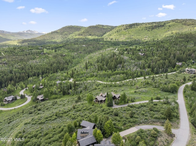 196 Redtail Rdg, Edwards, CO 81632